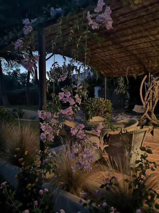 Casita De La Higuera Villa Jávea Exterior foto